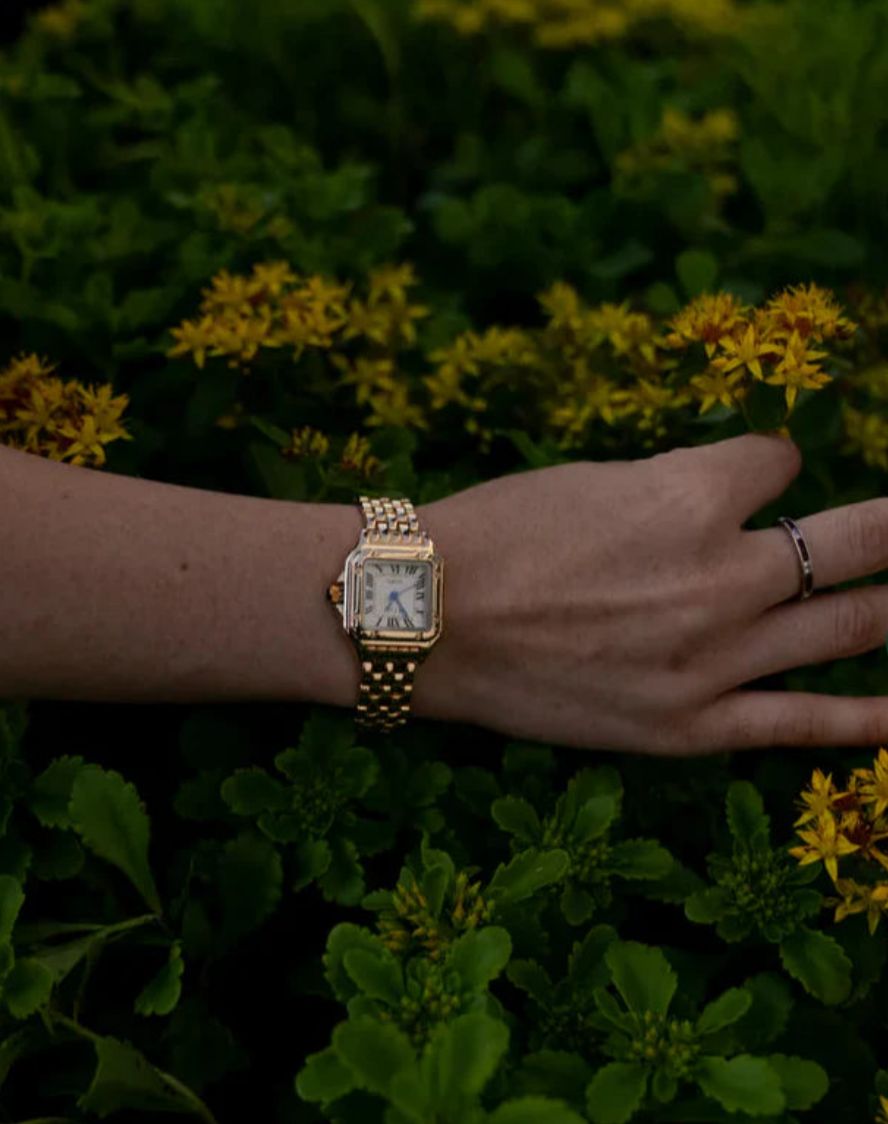 לפדרה אייבאט